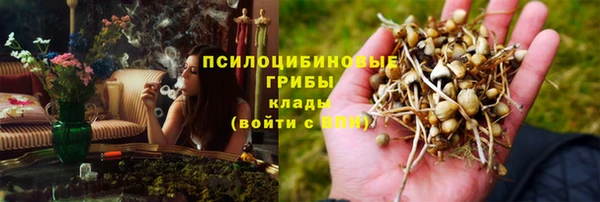гашик Алексеевка