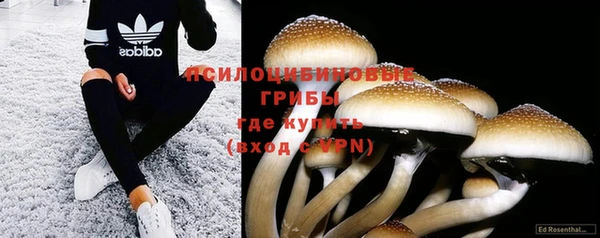 дживик Нея