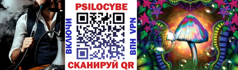 Псилоцибиновые грибы Psilocybine cubensis  Муром 